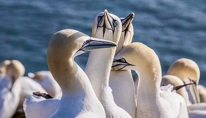 开云官网在线-绝地求生 选手训练强度持续加大，绝地求生训练手雷在哪里