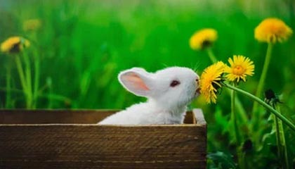 开云体育app网页版安全-李明全面爆发！攻防两端都做出巨大贡献！，李明筒历