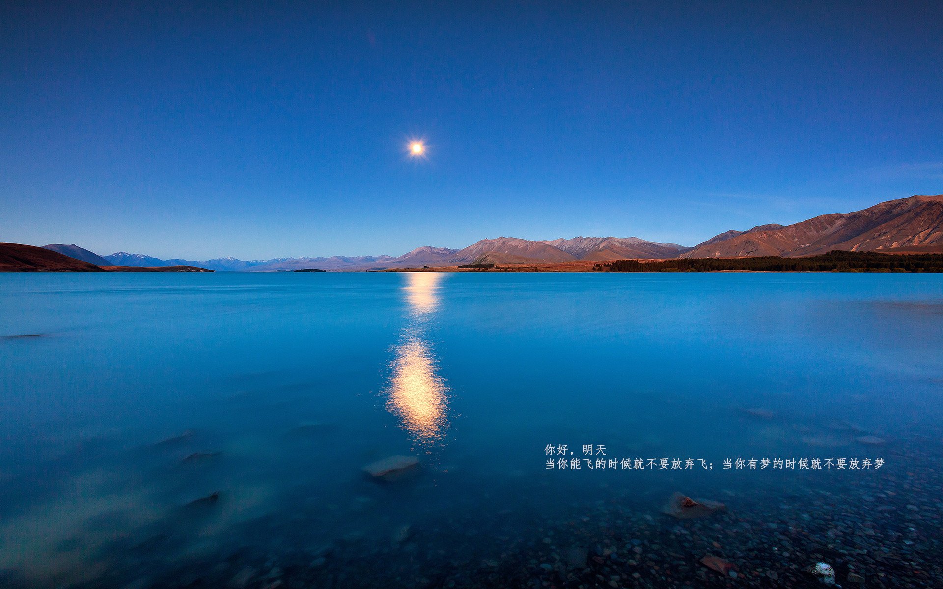 开云官方网页登录-_猛龙展现韧性,逆转取胜赢得尊敬_,猛龙出击