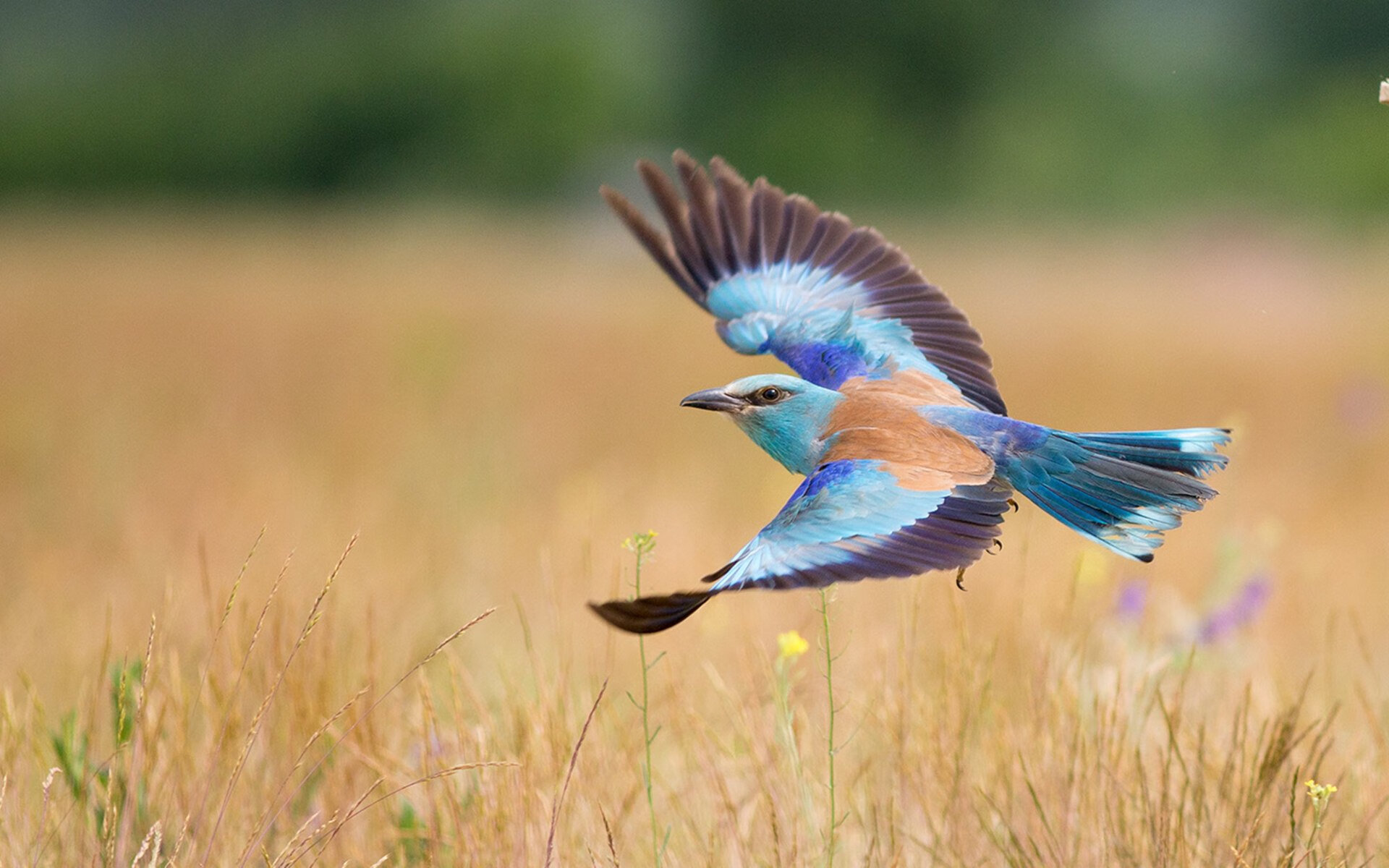 开云入口-“智能化比赛系统正式启用，保障比赛公正公平”，全国智能大赛总决赛