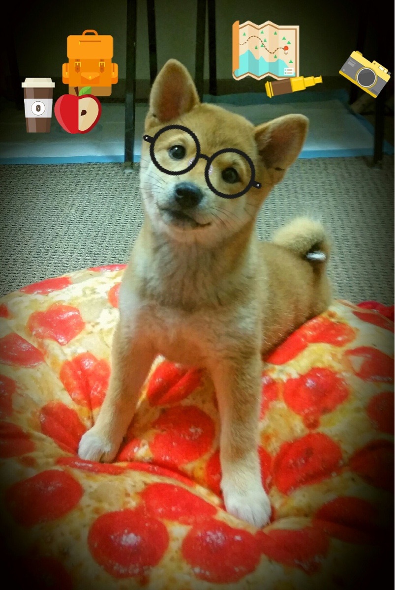 开云网页版登录入口-【青训未来】丁俊晖带领中国青年走向世界舞台，丁俊晖团队