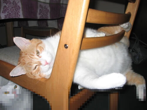 开云kaiyun-关键时机：险中求胜的绝佳战术安排，何为关键时刻