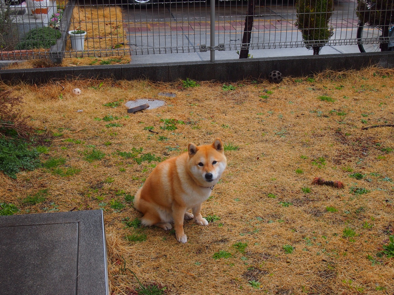 kaiyun官方网站-湖人推出“3D战术演练屏”，辅助教练组教学，湖人战术手册