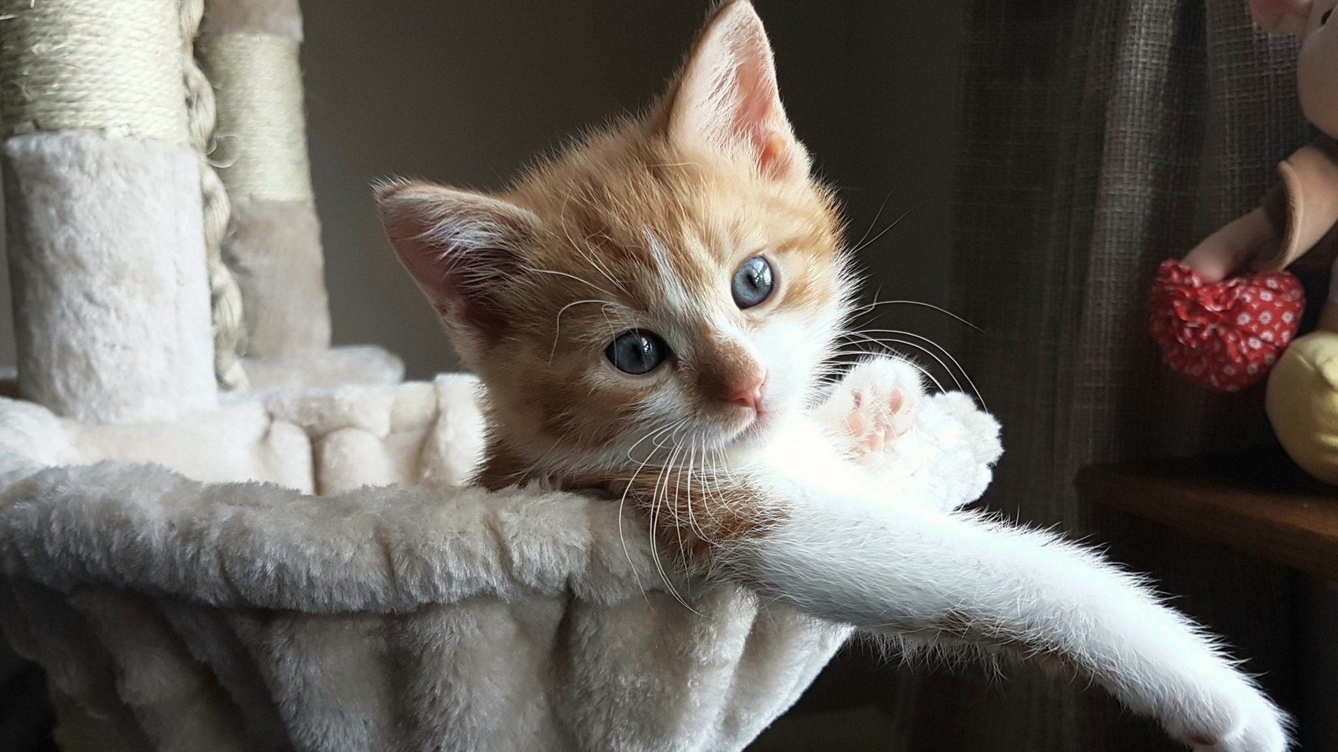 开云中国-罗马逆转拿下三分,士气大振,罗马逆转曼联