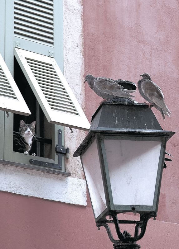 kaiyun官方入口登录-美国女足零封德国晋级决赛，内赫尔创纪录，德国女足美国女足