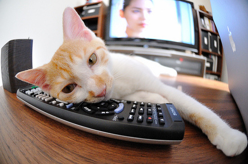 开云·Kaiyun网页版-西班牙后防线零失球晋级淘汰赛，西班牙防守