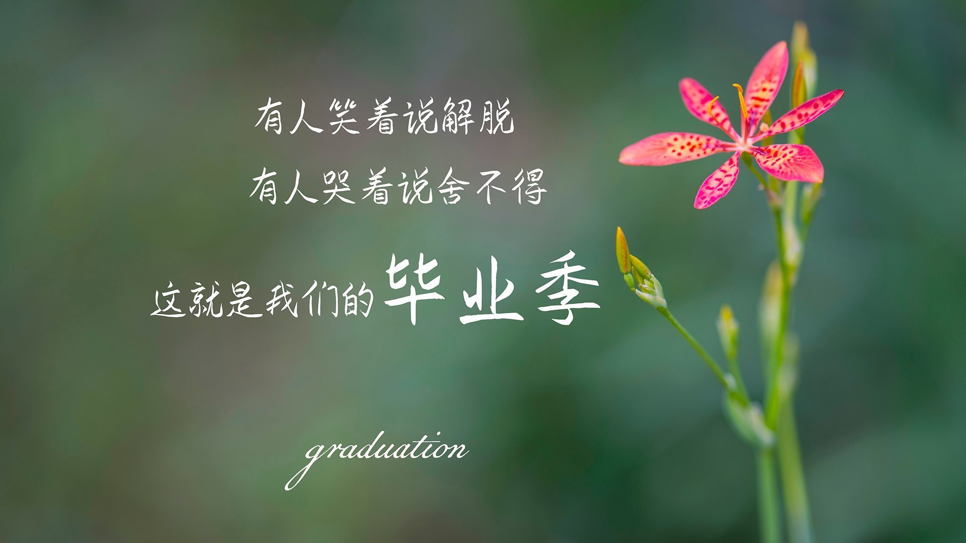 开云·体育官网-奇才球队年轻力量崛起引关注,奇才队年薪