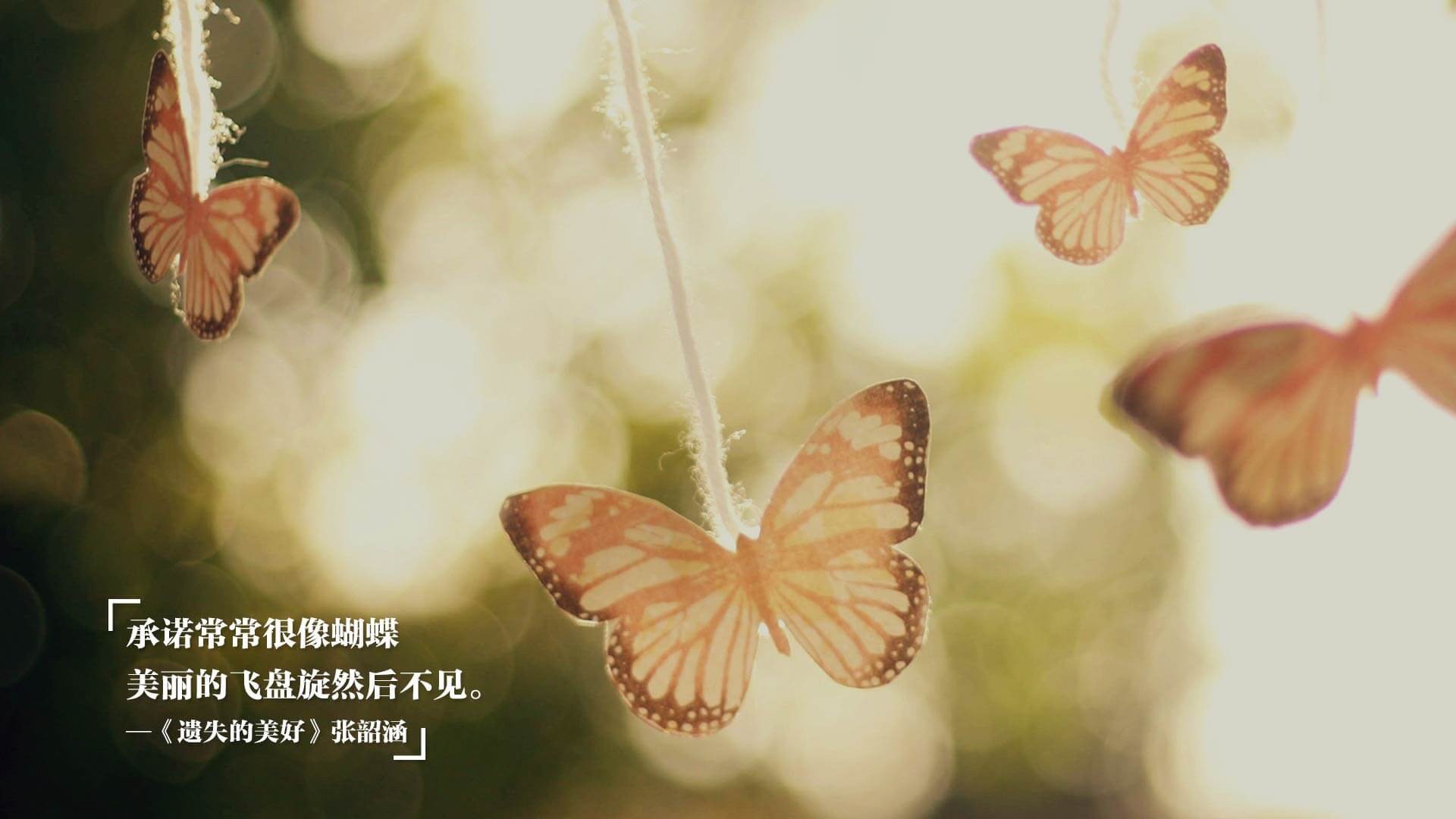 Kaiyun(中国)开云-曼城主场再胜布伦特福德，德布劳内送出三次助攻，曼城中场德布劳内