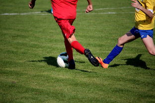 开云网页版-中超球员比赛热度曲线与表现匹配模型,中超热身赛