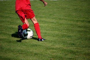 开云官方-中超球队球员年龄结构，中超球队平均年龄