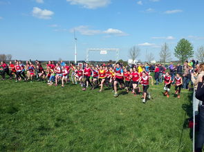 kaiyun官方入口登录-全国青少年劳动体育竞赛各项赛事激烈进行，全国青少年劳动体育竞赛各项赛事激烈进行的原因