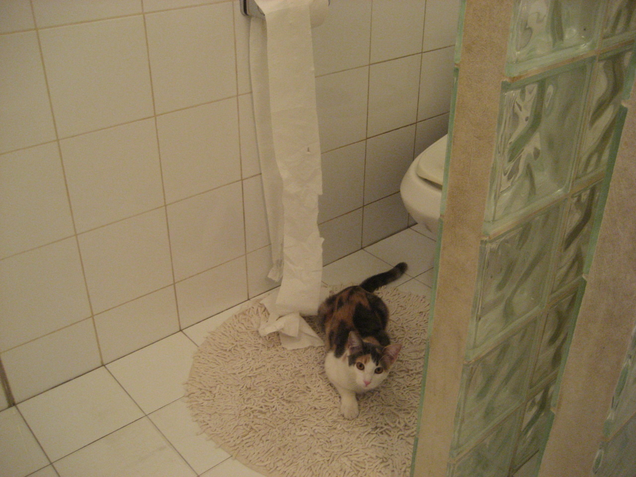 详细阅读:KAIYUNAPP-“定向越野:东部新区赛场考验运动员全方位能力” KAIYUNAPP-“定向越野:东部新区赛场考验运动员全方位能力”