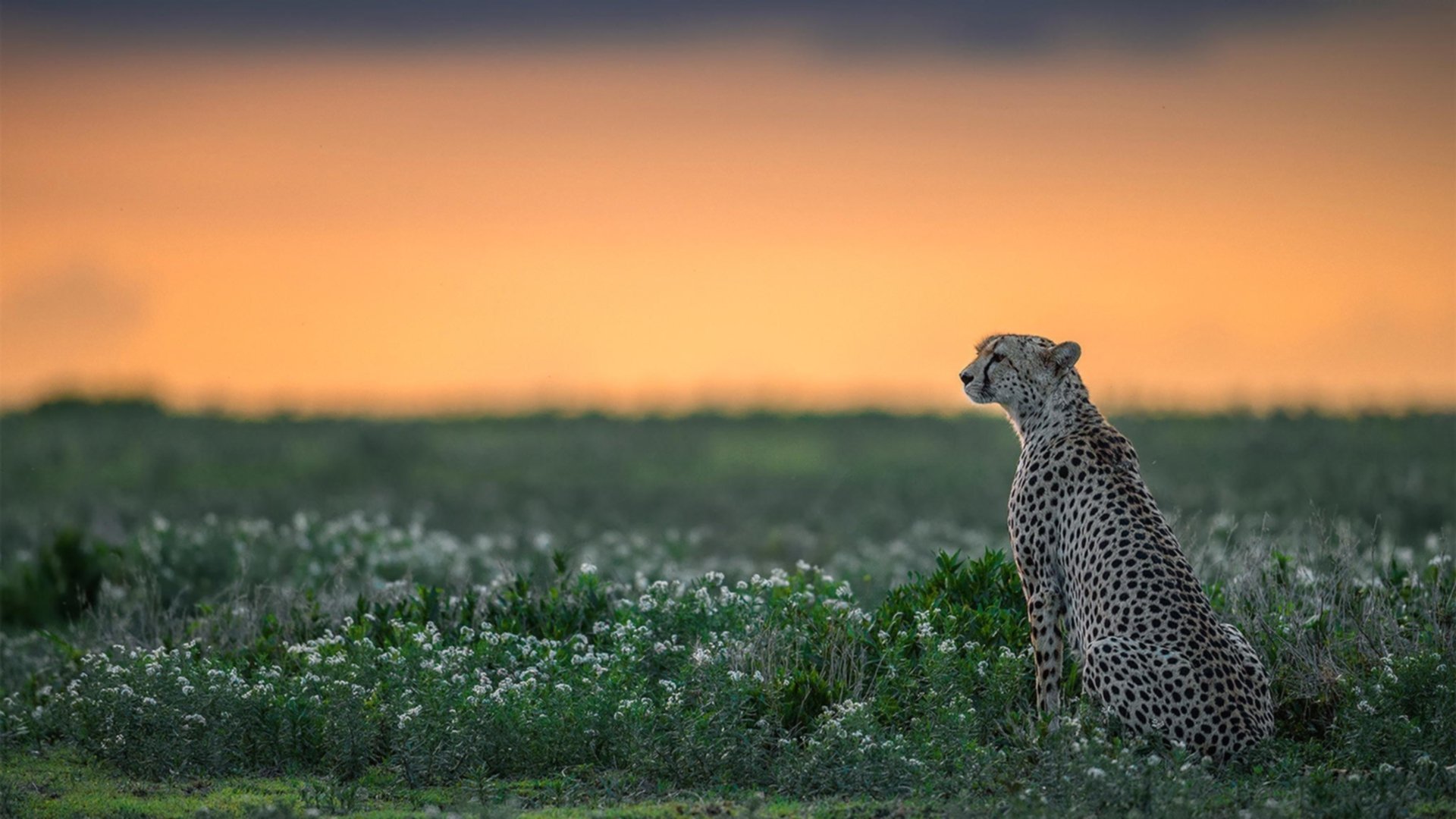kaiyun登录入口-体育新闻中心推动智慧体育内容生态建设，体育新闻中心推动智慧体育内容生态建设工作