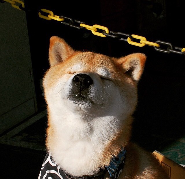 开云体育-南特中后场联动保障防线完整性，南特主场