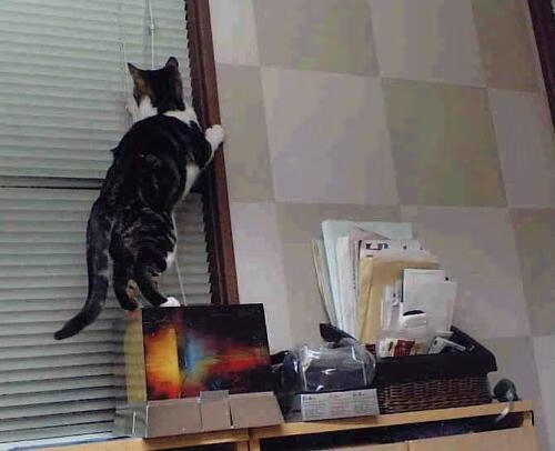 详细阅读:kaiyun.com-世界杯比赛中的技术创新应用,世界杯采用的是什么赛制 kaiyun.com-世界杯比赛中的技术创新应用,世界杯采用的是什么赛制