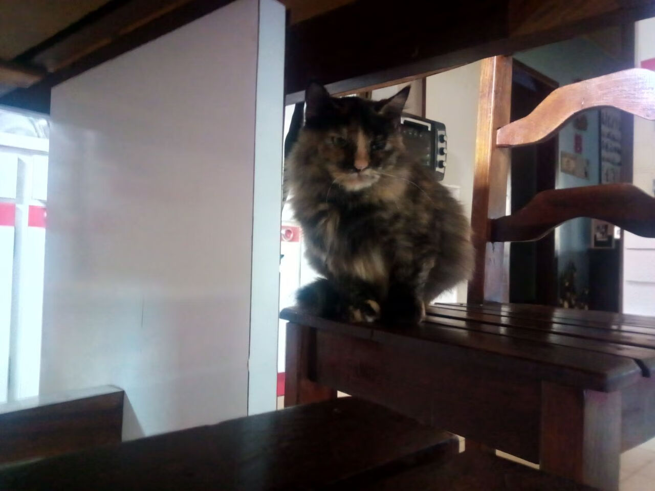 开云官网APP下载-利物浦欧冠赛场表现出色，冲击更高荣誉