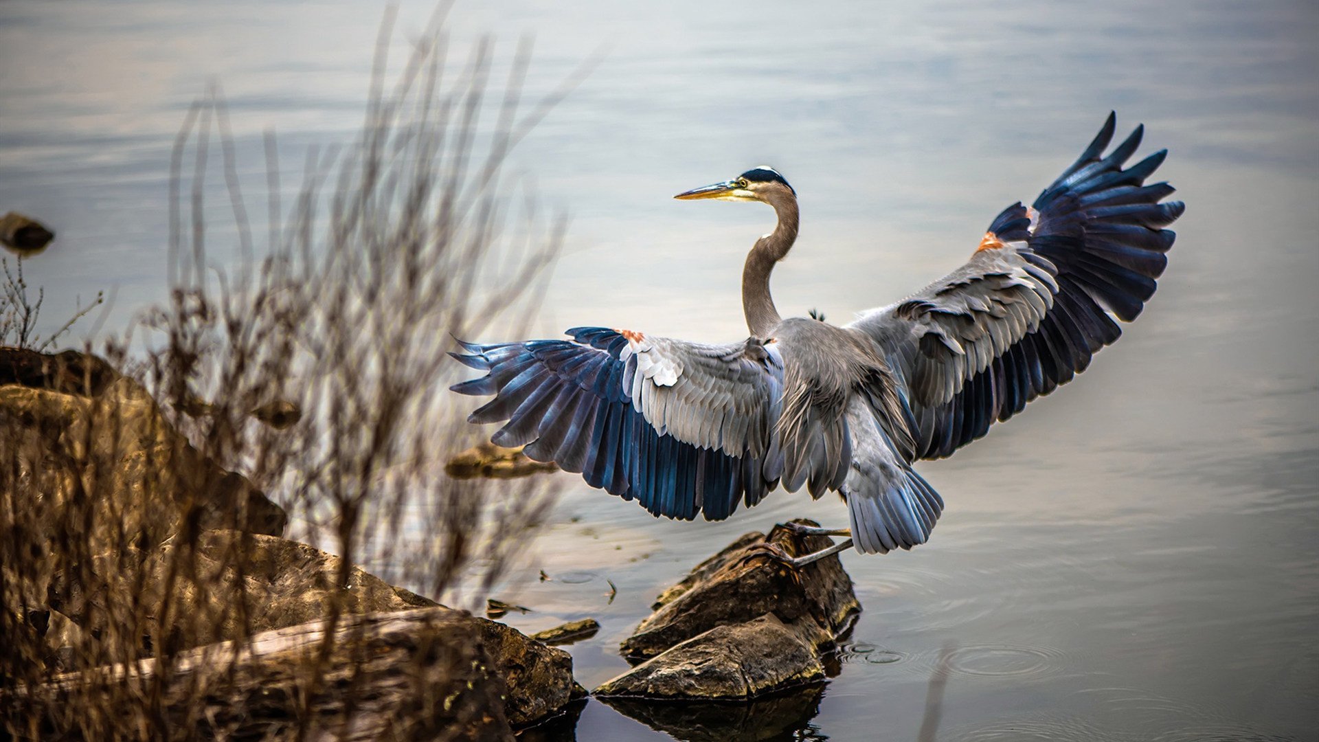 开云体育APP下载-吉尔吉斯斯坦男篮在非洲锦标赛中大放异彩，期待突破